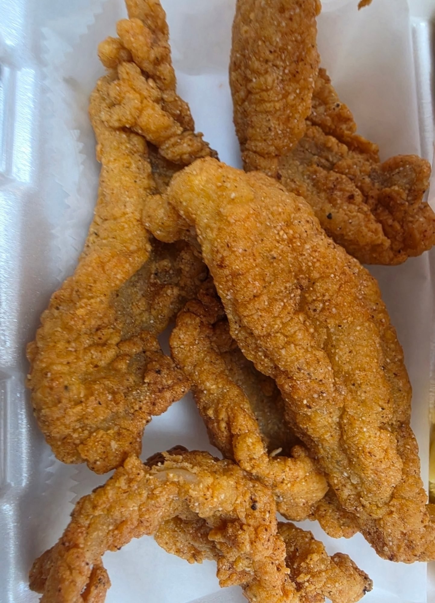 Large Catfish Plate - 5 Filets with (1) Side