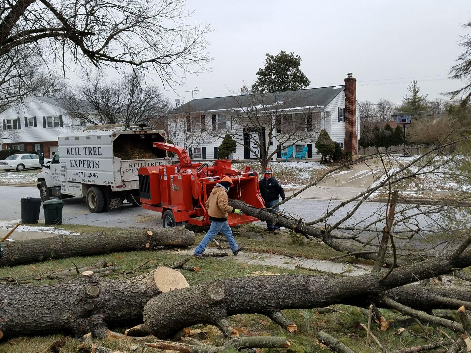 Keil Tree Experts Inc Image