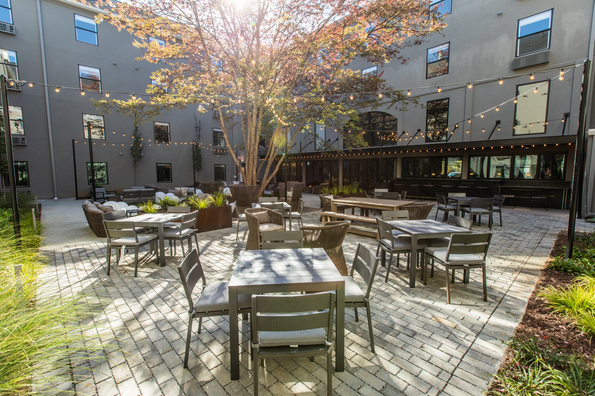 voco the Darwin - Atlanta Midtown by IHG Image