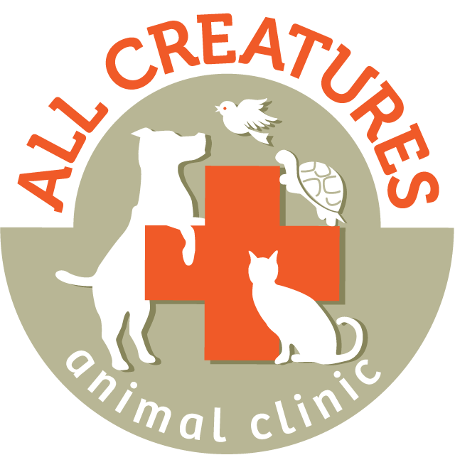 All Creatures Animal Clinic
