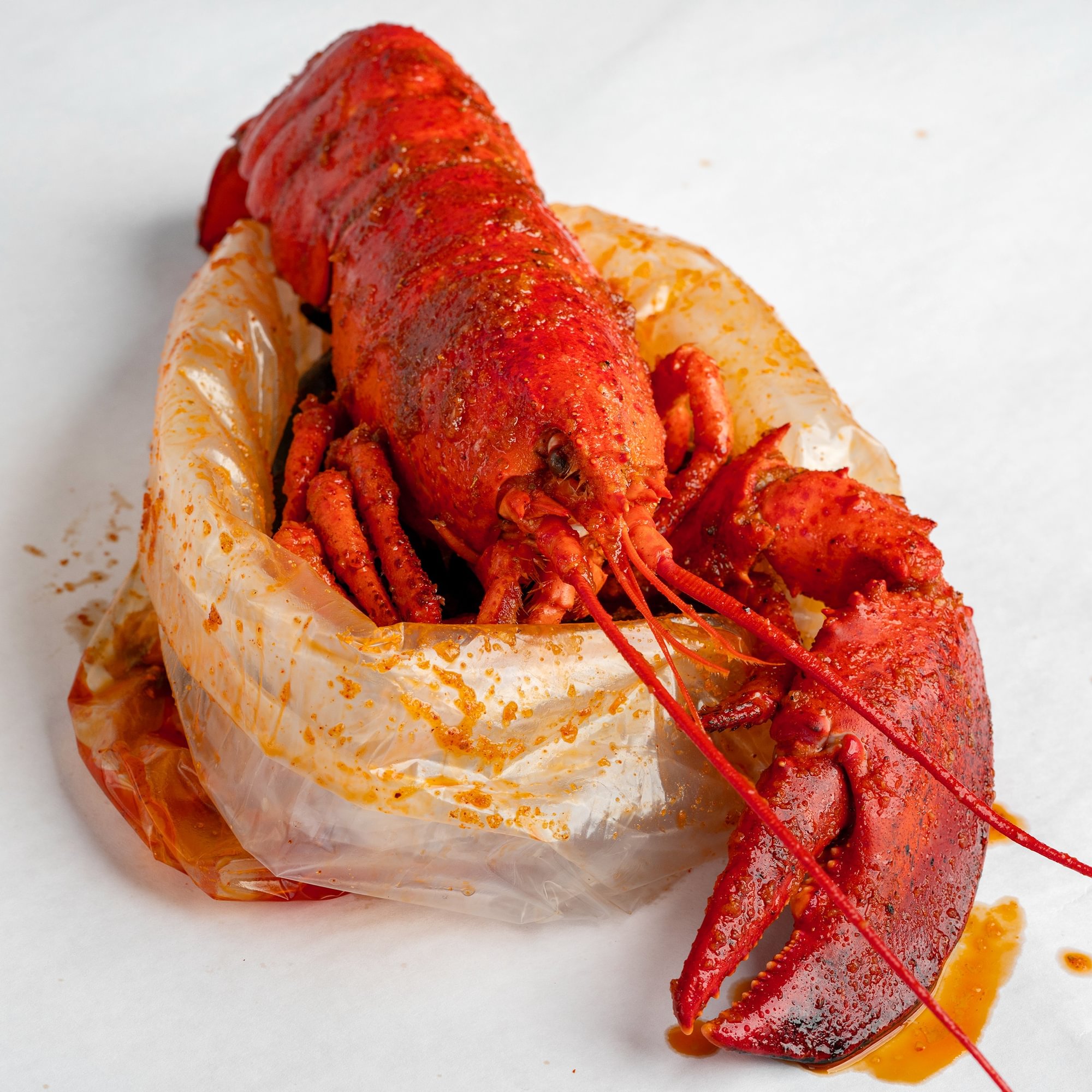 Whole Lobster