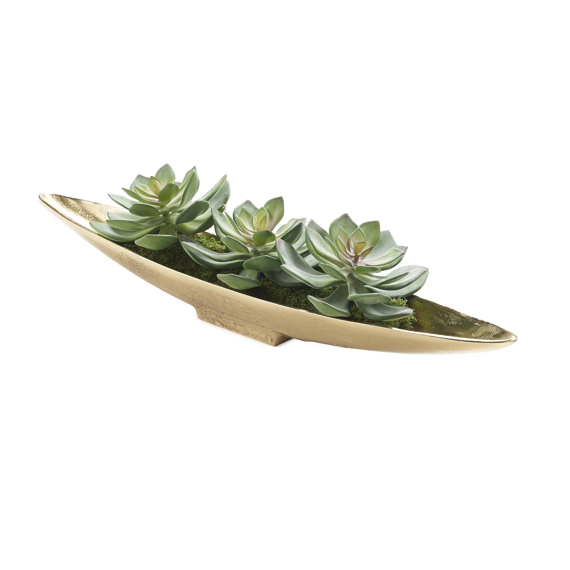 Succulent Trio in Gold Denver Boat