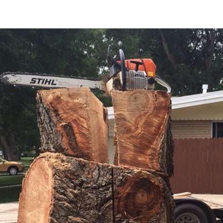 Local Tree Trimming, LLC Logo