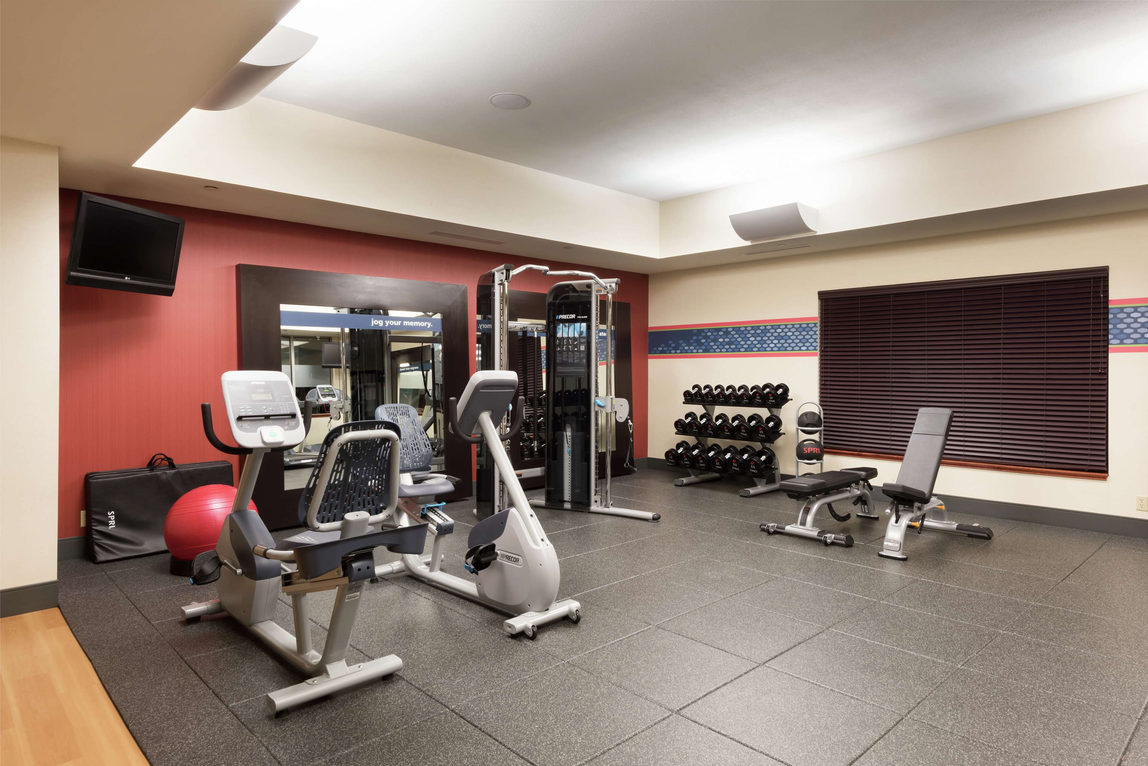 Health club  fitness center  gym