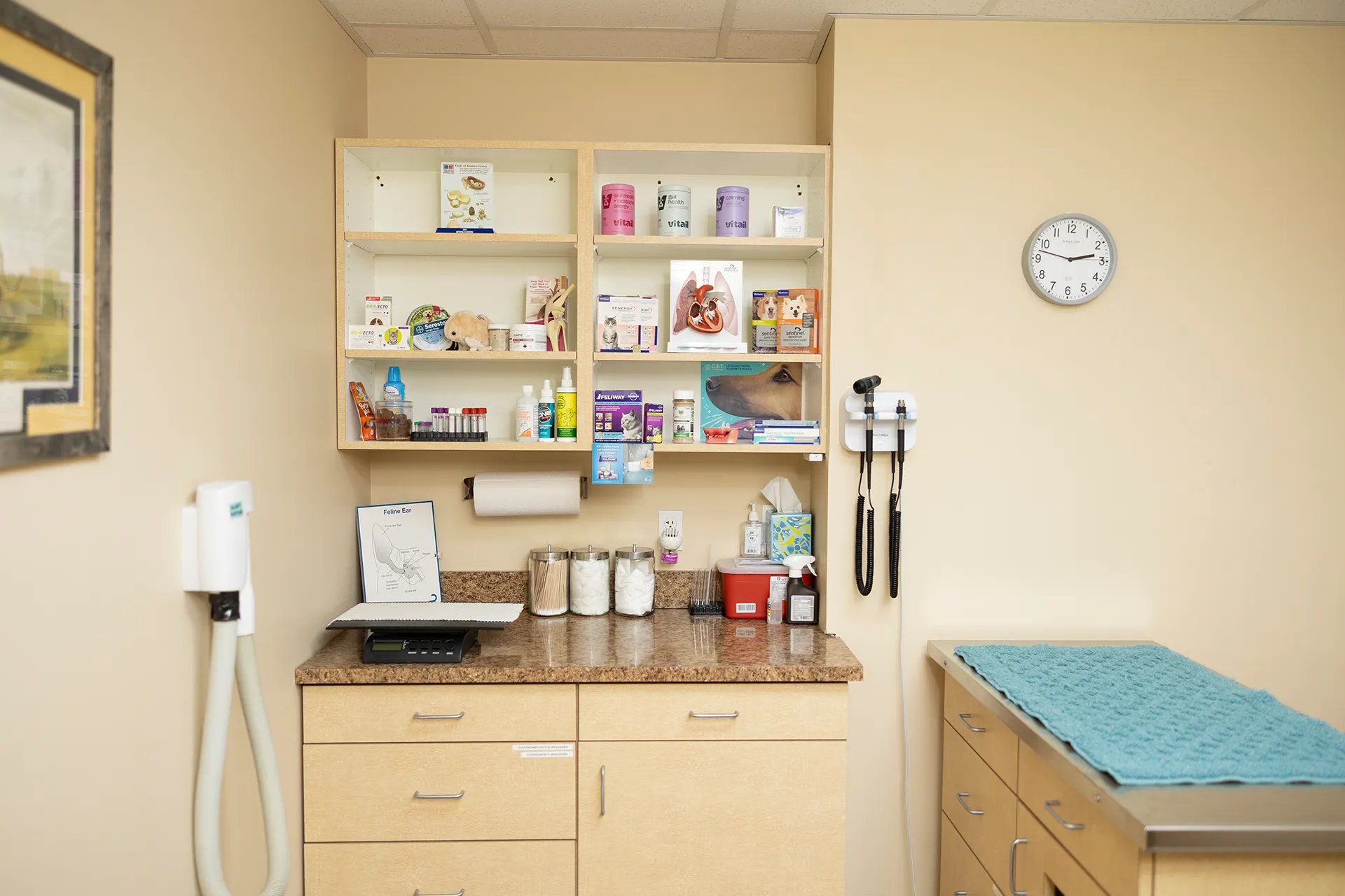 Veterinary Services