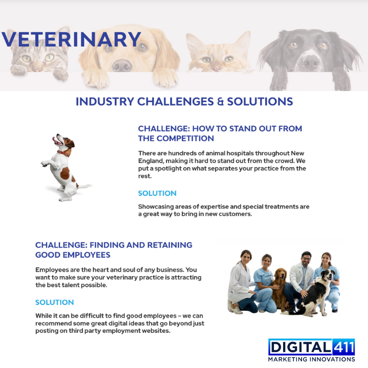 Digital411 Marketing Image