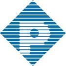 Professional Image Logo