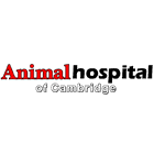 Animal Hospital of Cambridge Cambridge