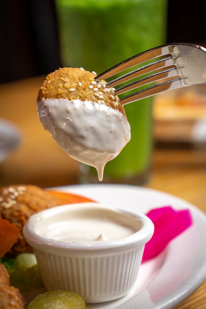 Falafel Appetizer