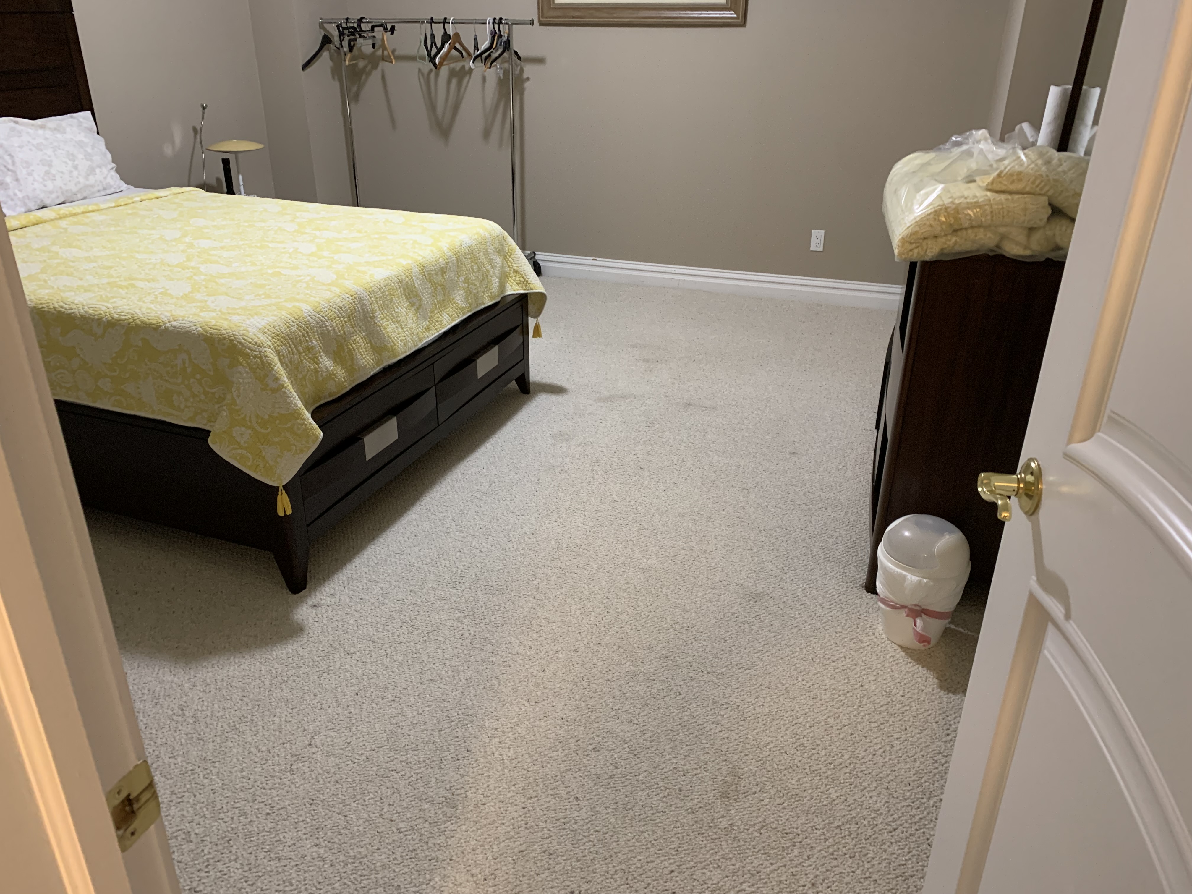 Elite Green Carpet Cleaning Image