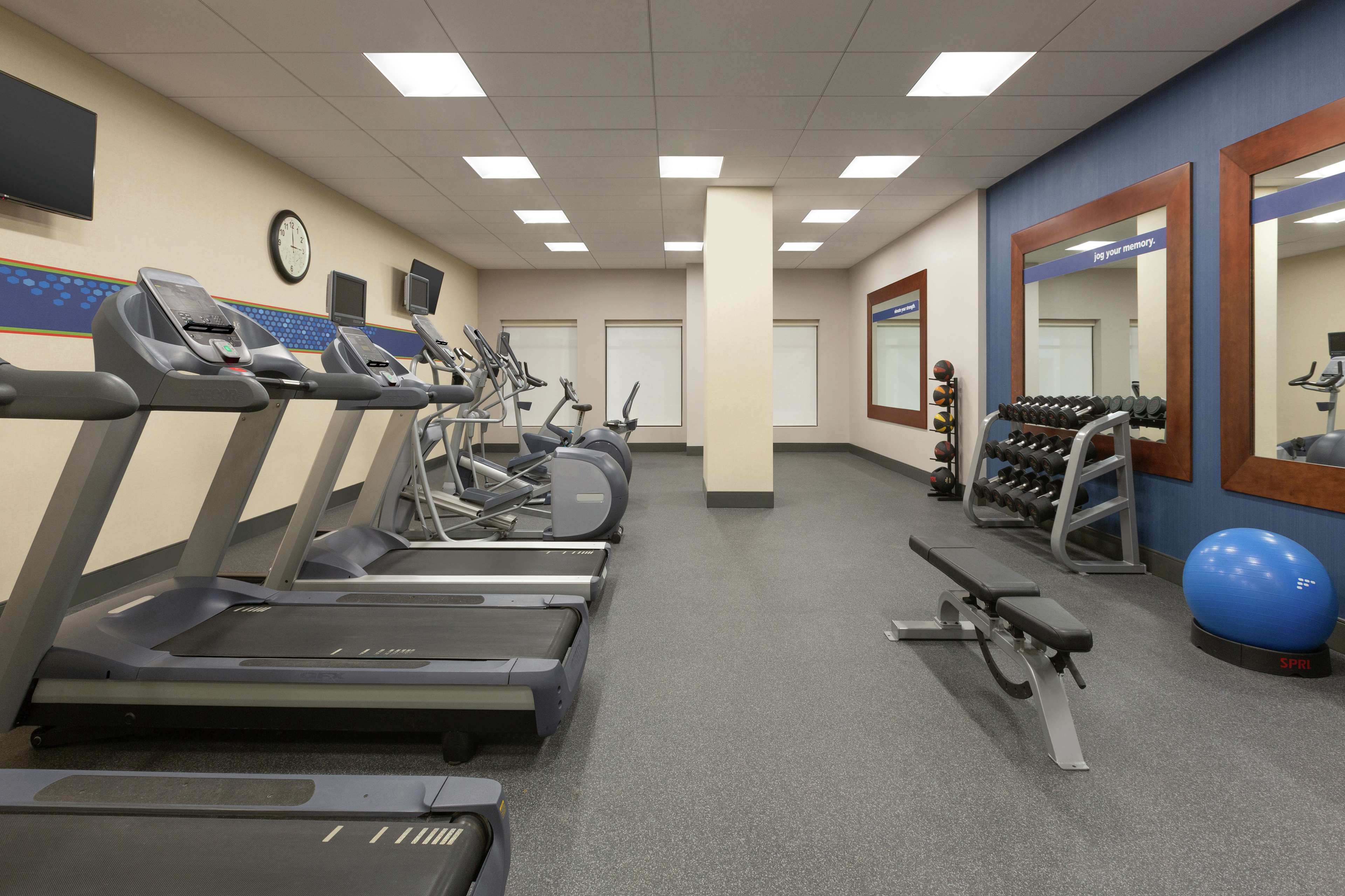 Health club  fitness center  gym