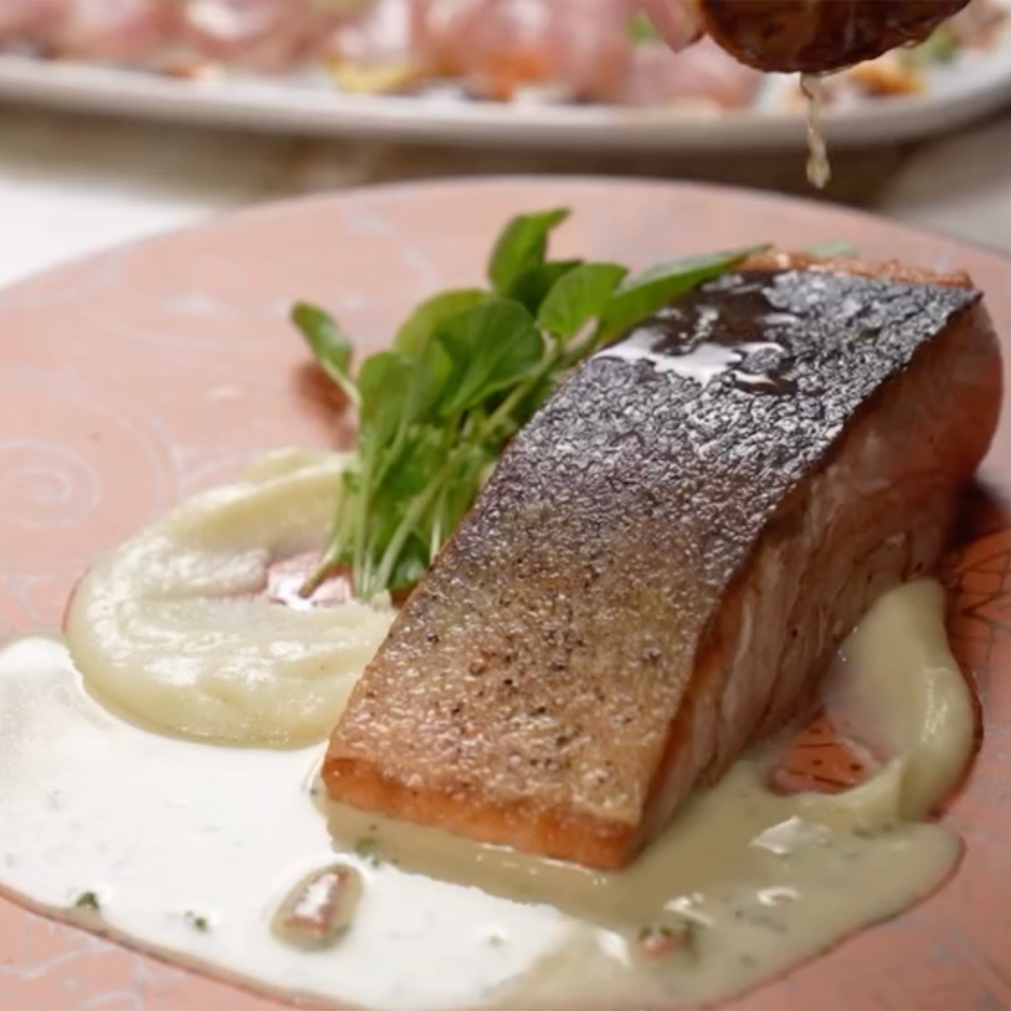Salmon Scampi