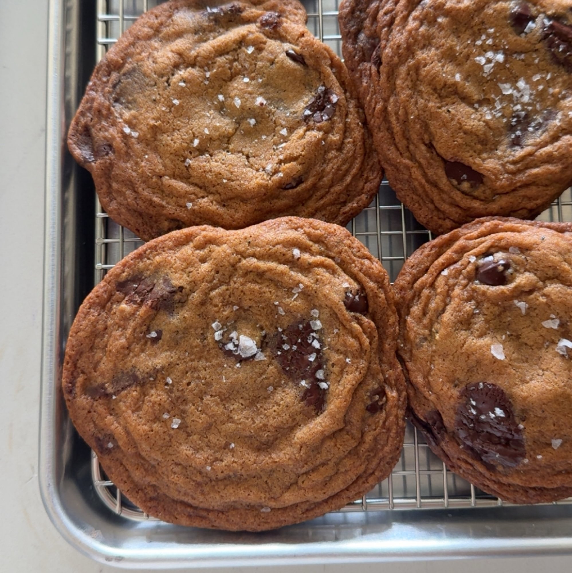 Chocolate Chip Cookie