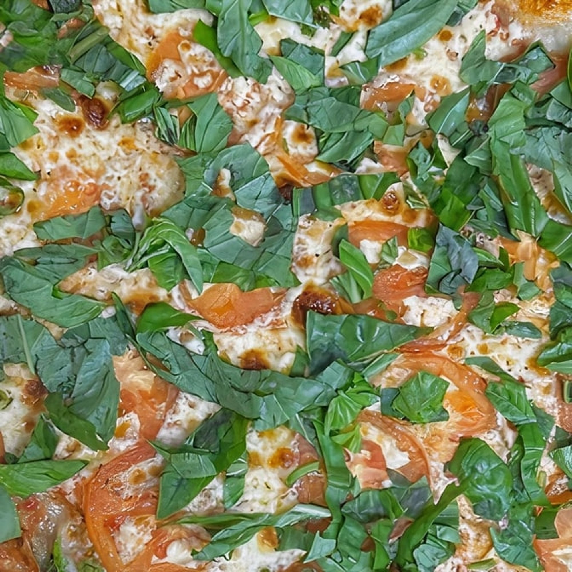 Margarita Pizza