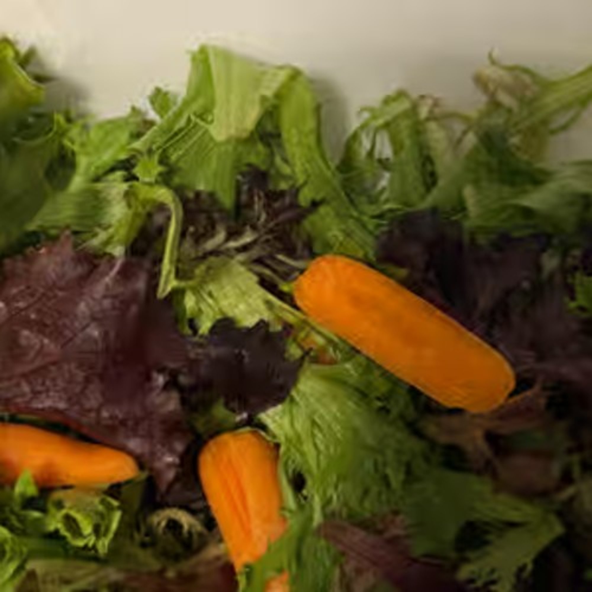 Side Salad