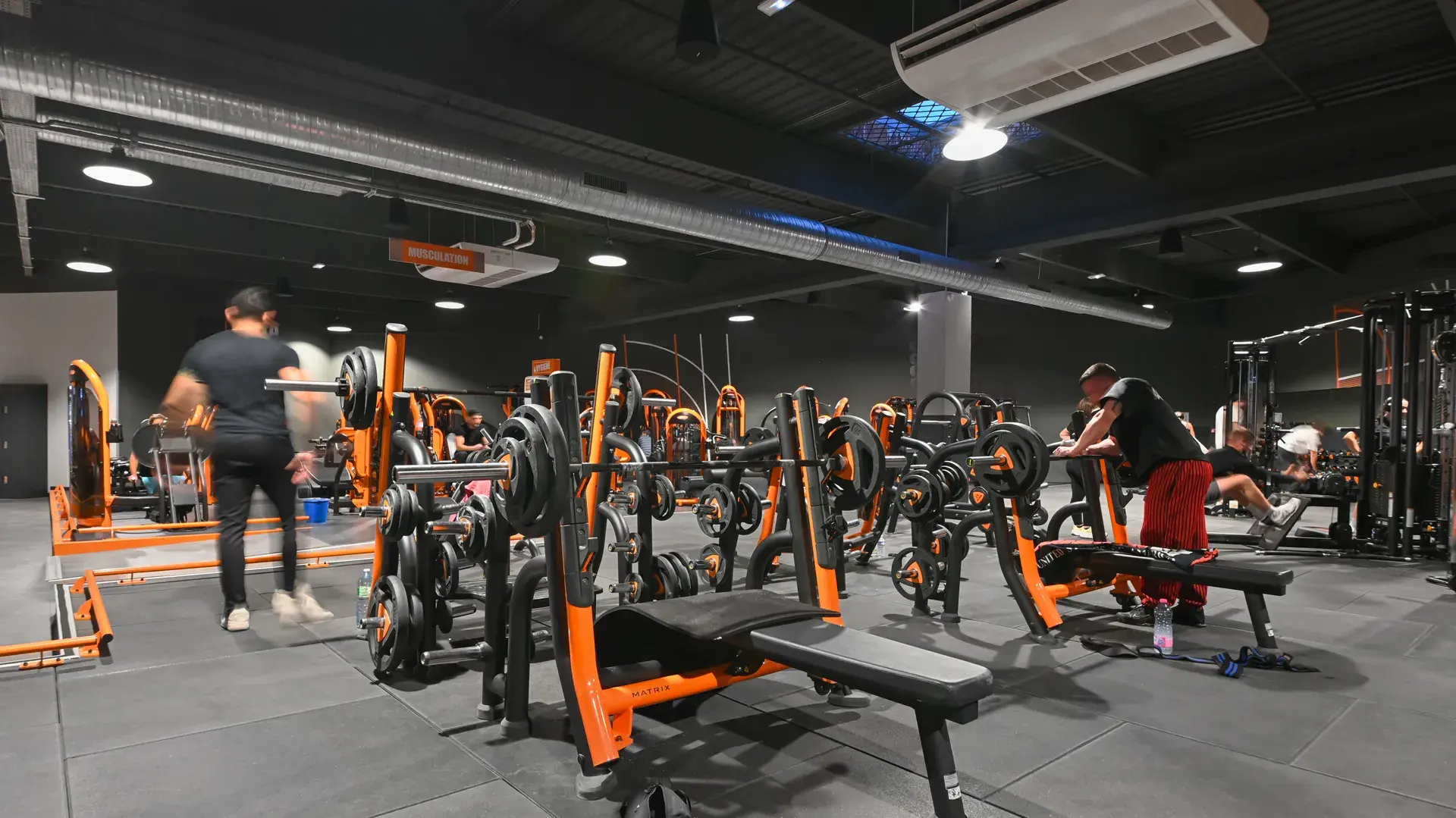 Miniature de la galerie