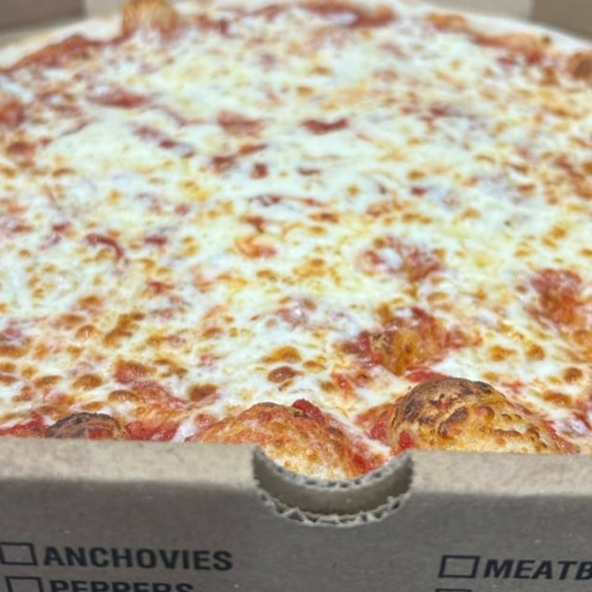 Personal Pie 12 inch Round