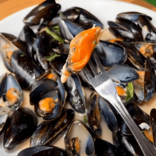 Mussels
