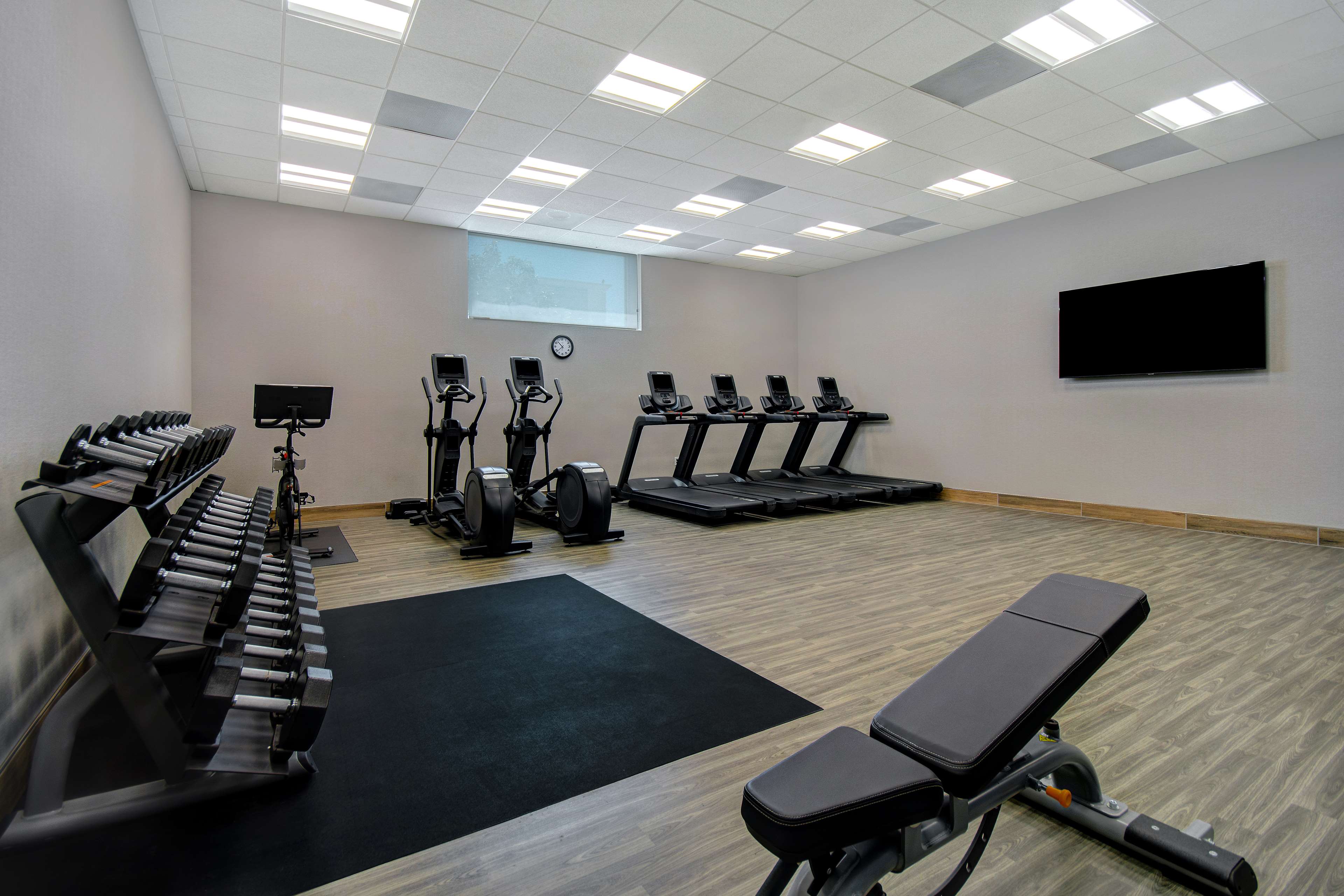 Health club  fitness center  gym