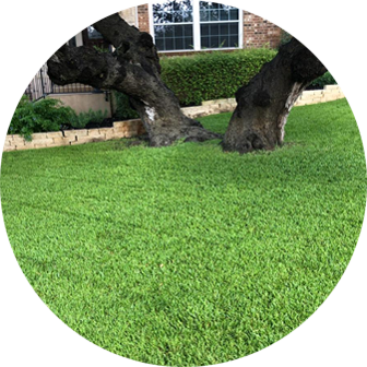 All About The Trees &amp; Landscaping Logo