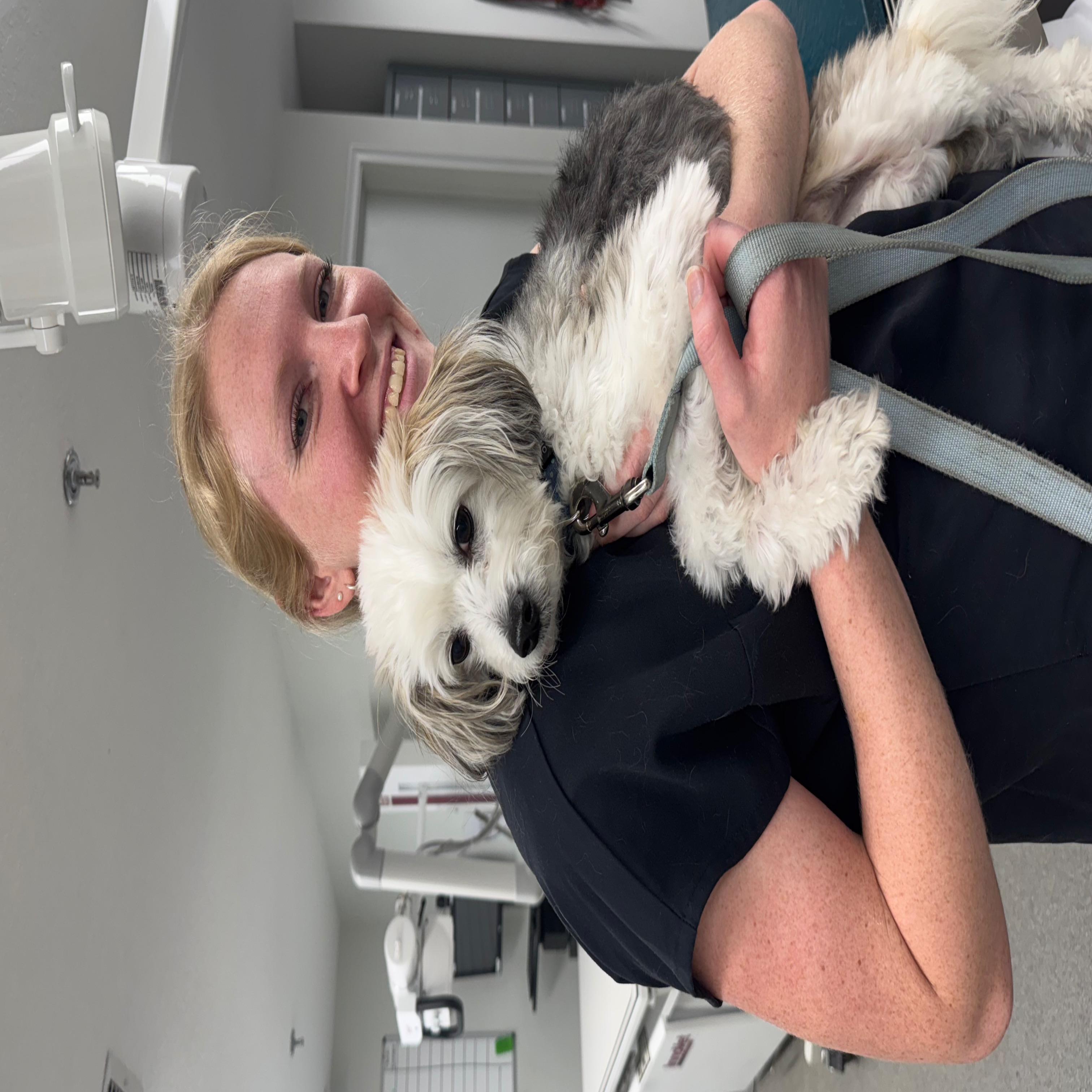 ANZER ANIMAL HOSPITAL Logo