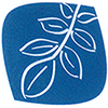 Logo der Nussbaum-Apotheke