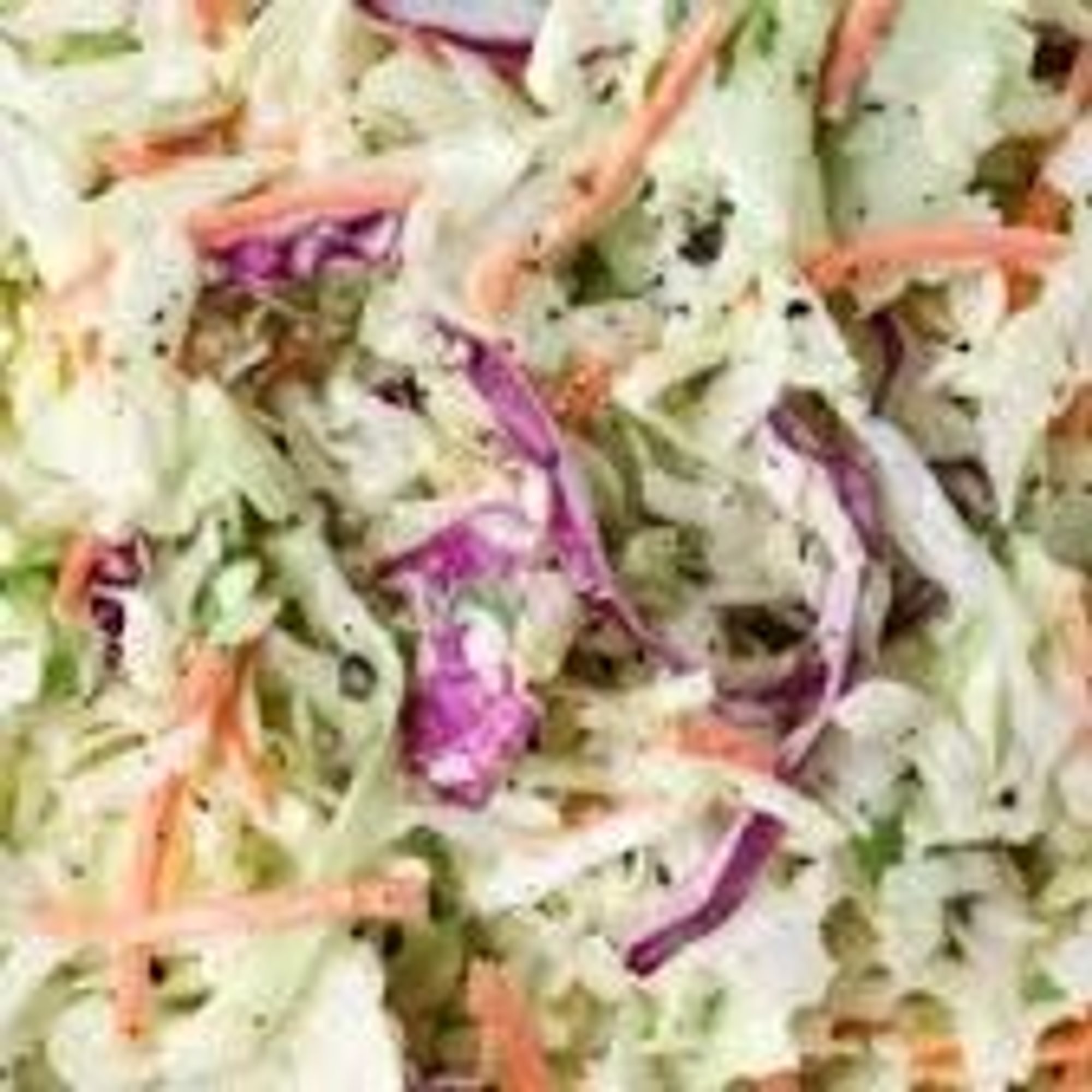 Homemade Coleslaw