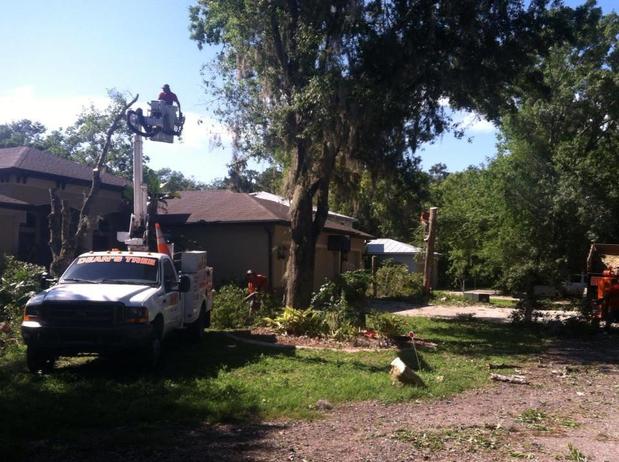 Images Deans Tree Services
