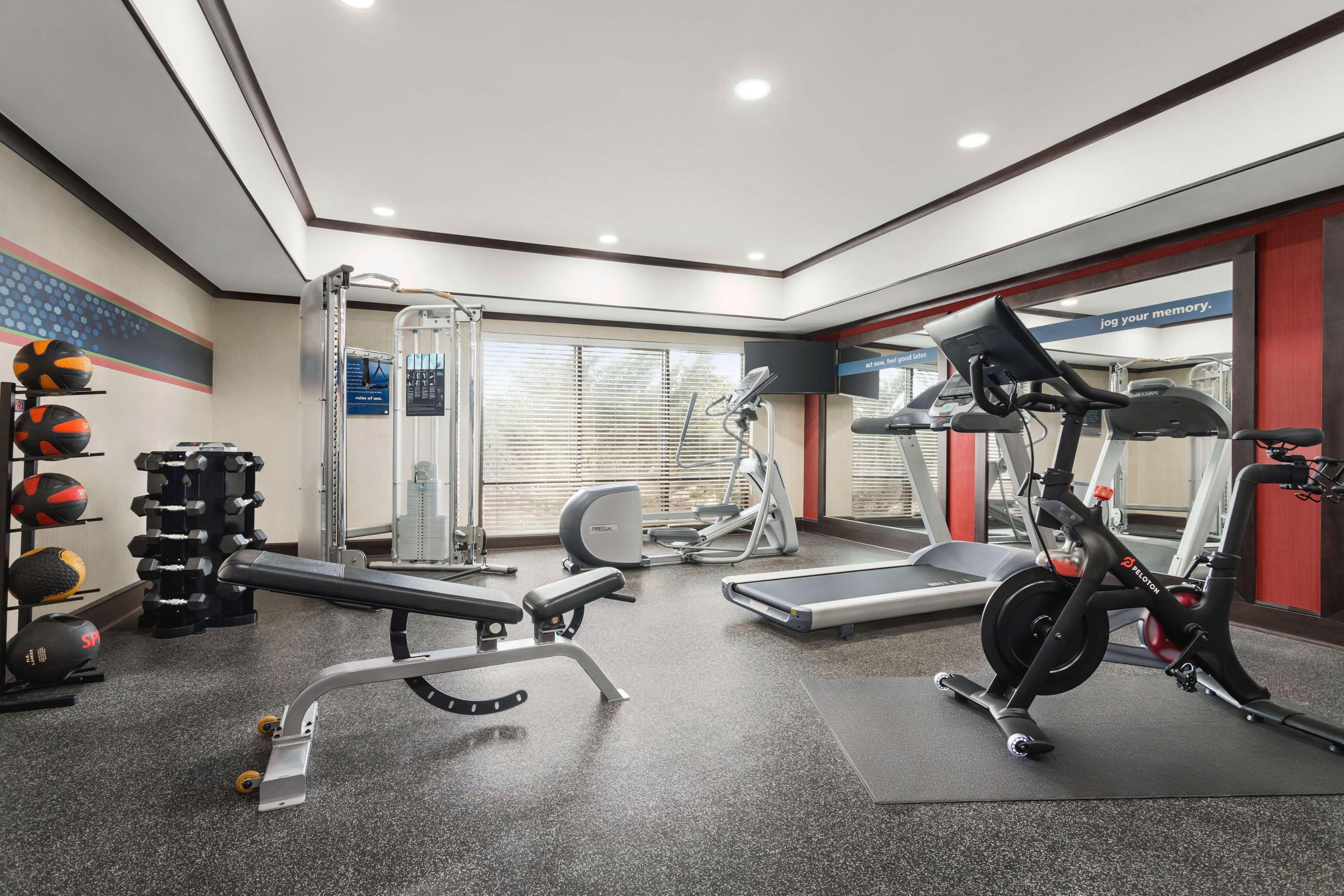 Health club  fitness center  gym