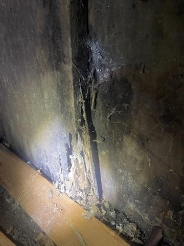 All Natural Pest Elimination Image