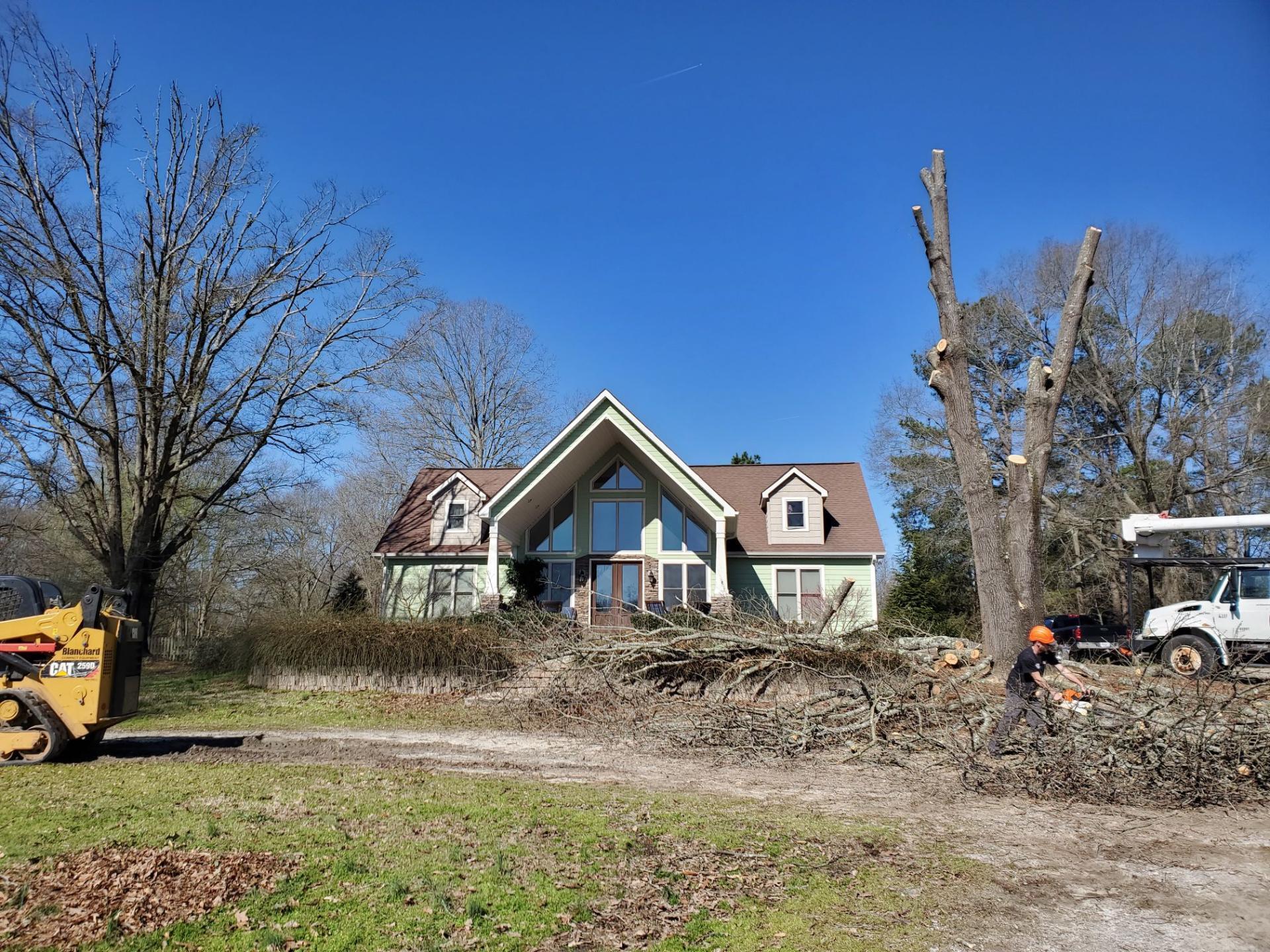 "All In" Tree and Outdoor Service LLC