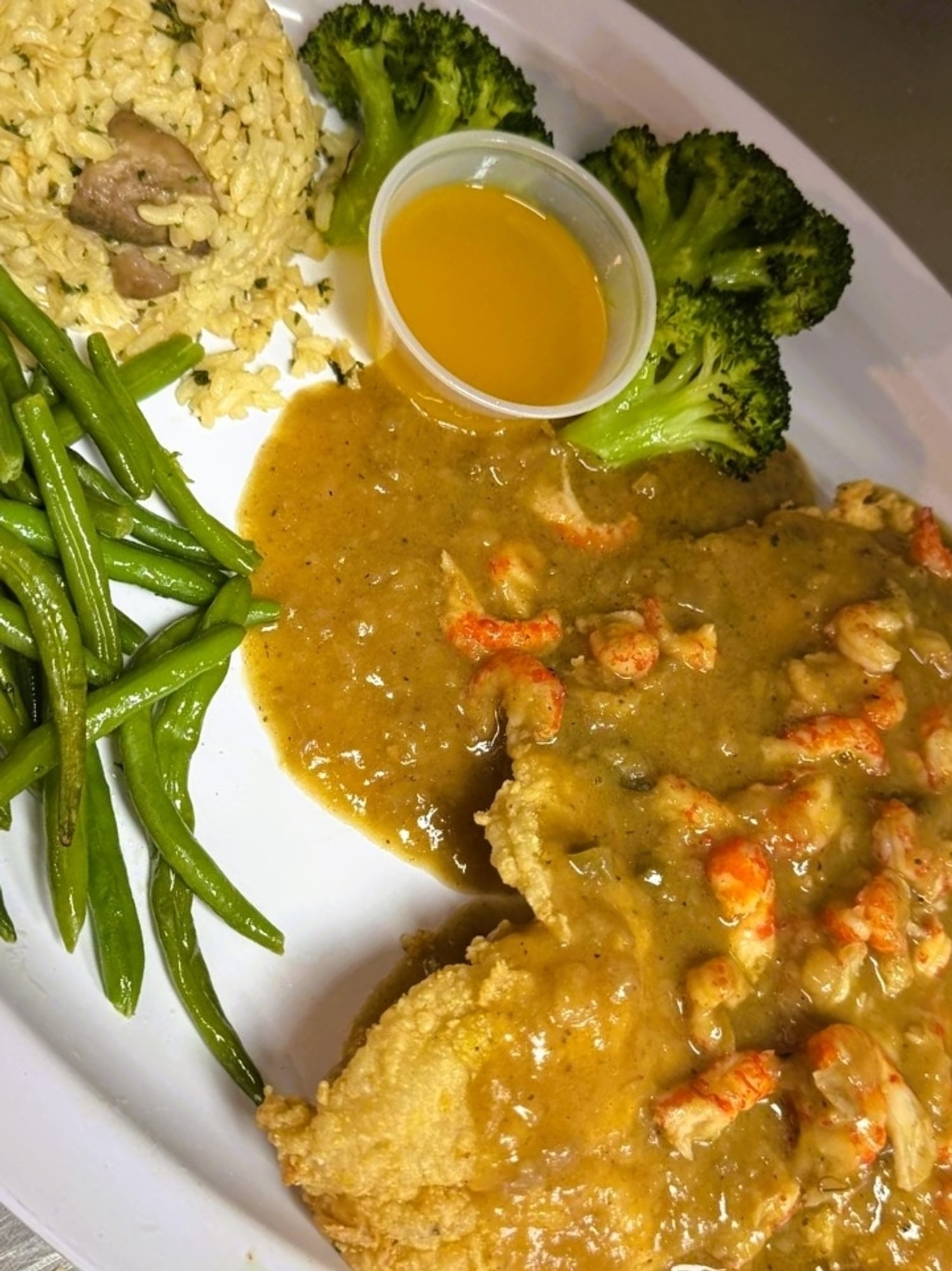Coubion Catfish