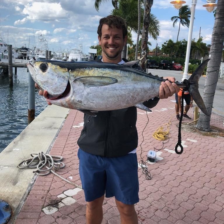 Do Stay Sportfishing Charters Photo