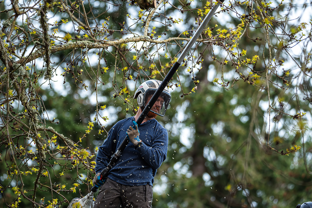 Branching Out Tree Care, LLC Image