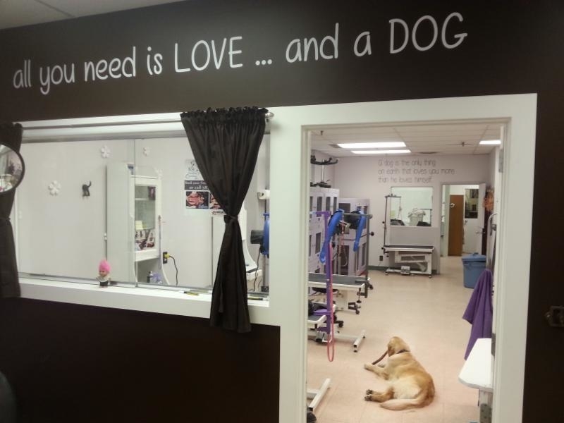 Images 4 Paws Grooming