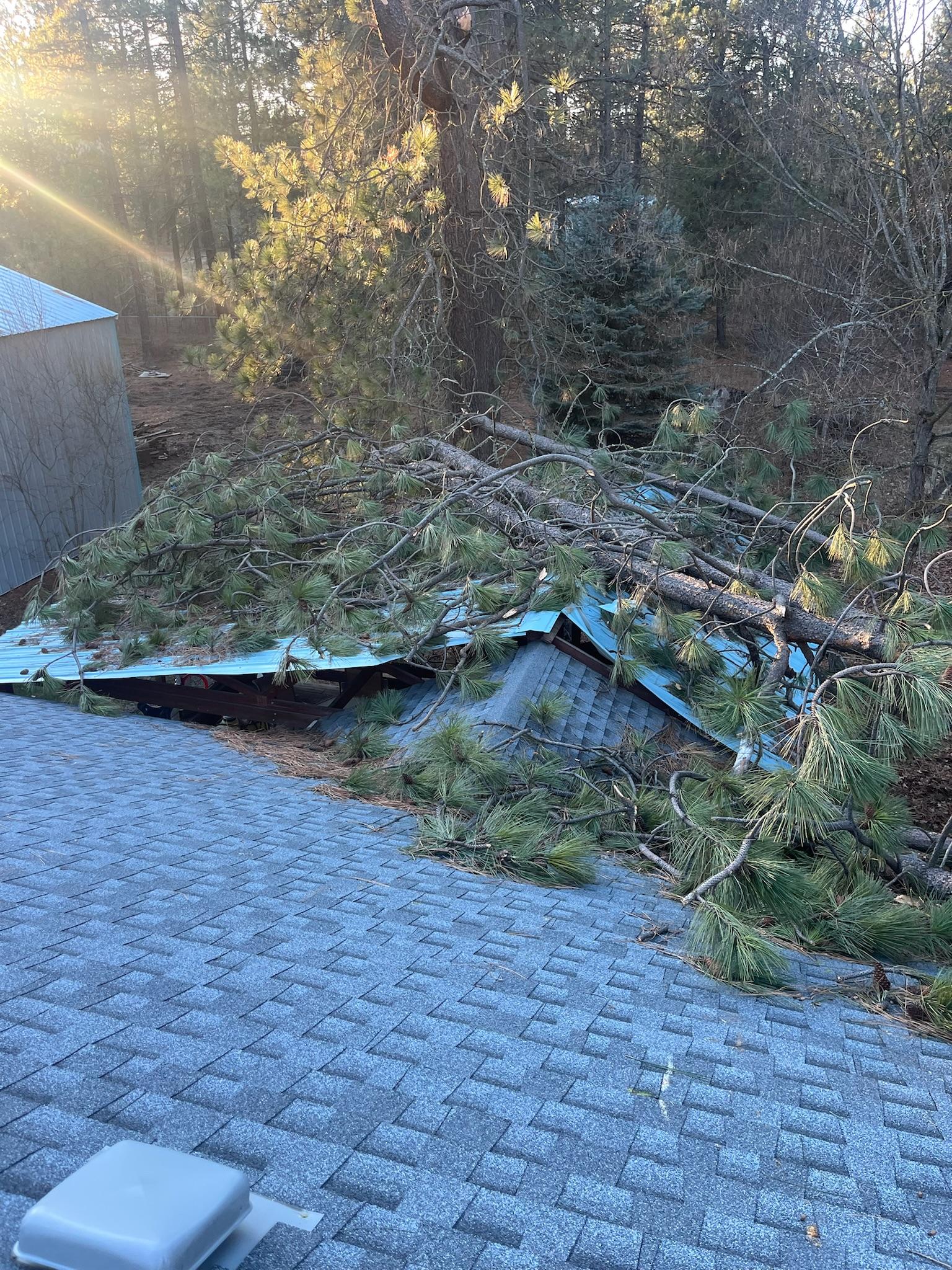 Timber Valley Tree Co. Image