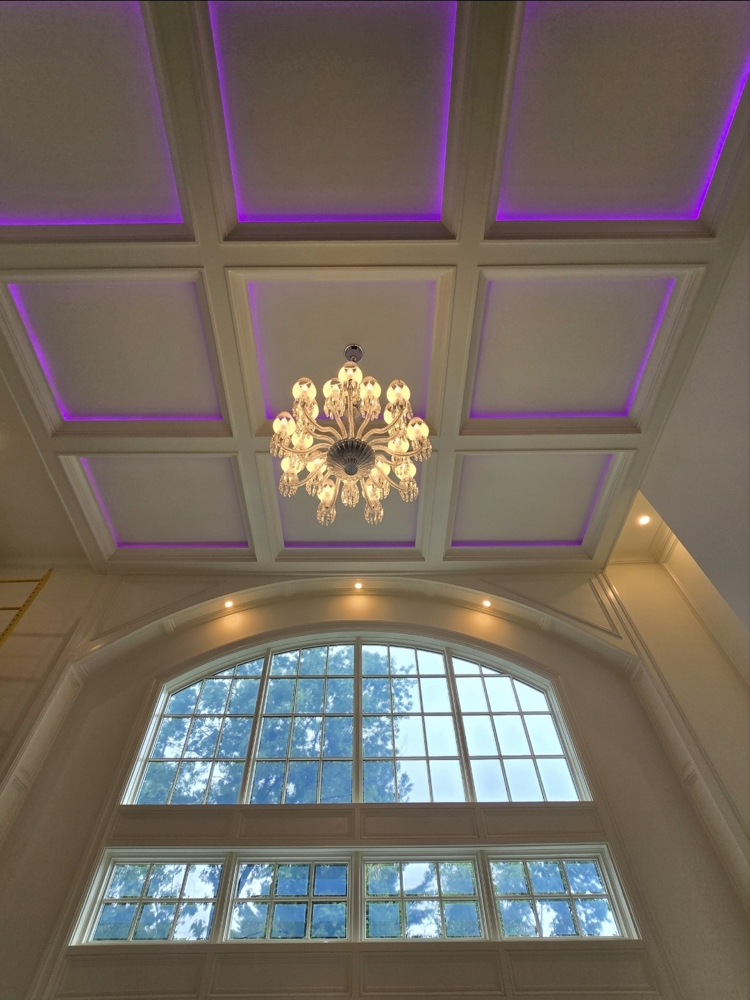 Promark Painting Image