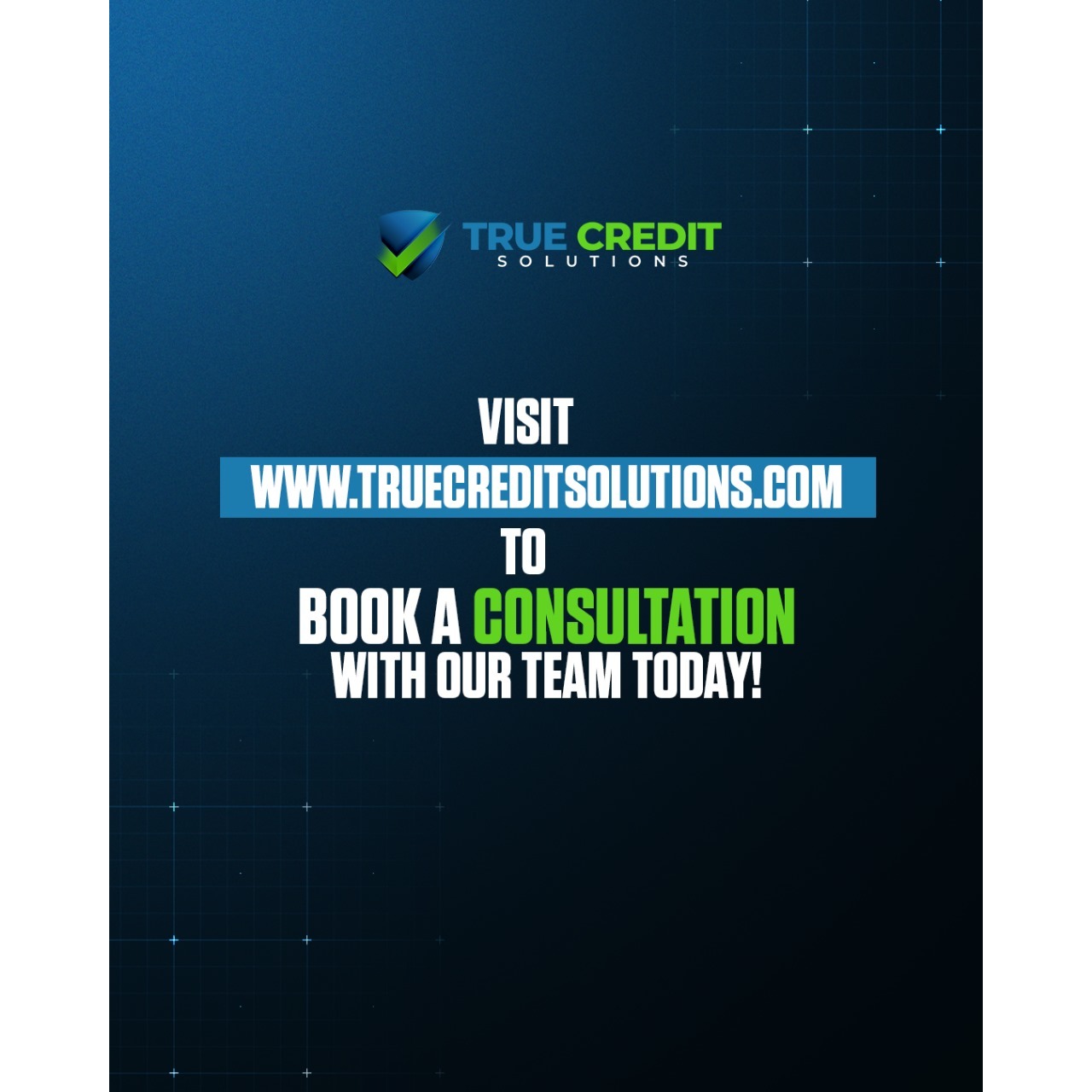 TRUE CREDIT SOLUTIONS, LLC