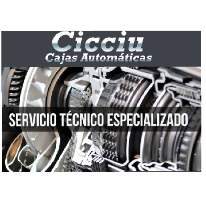 Cicciu - Cajas Automaticas Godoy Cruz
