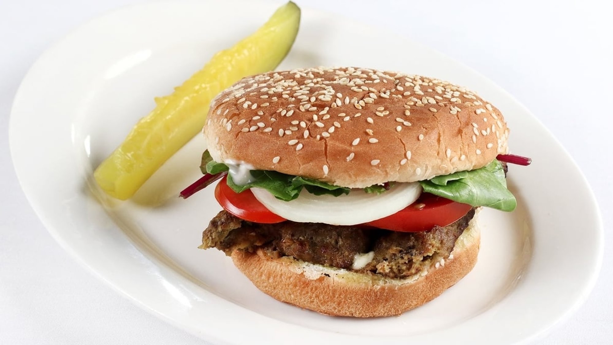 Persian Burger