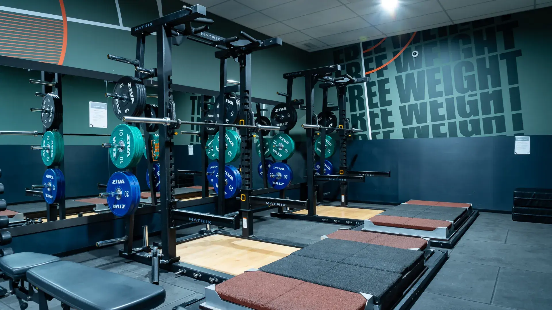 Galería en miniatura