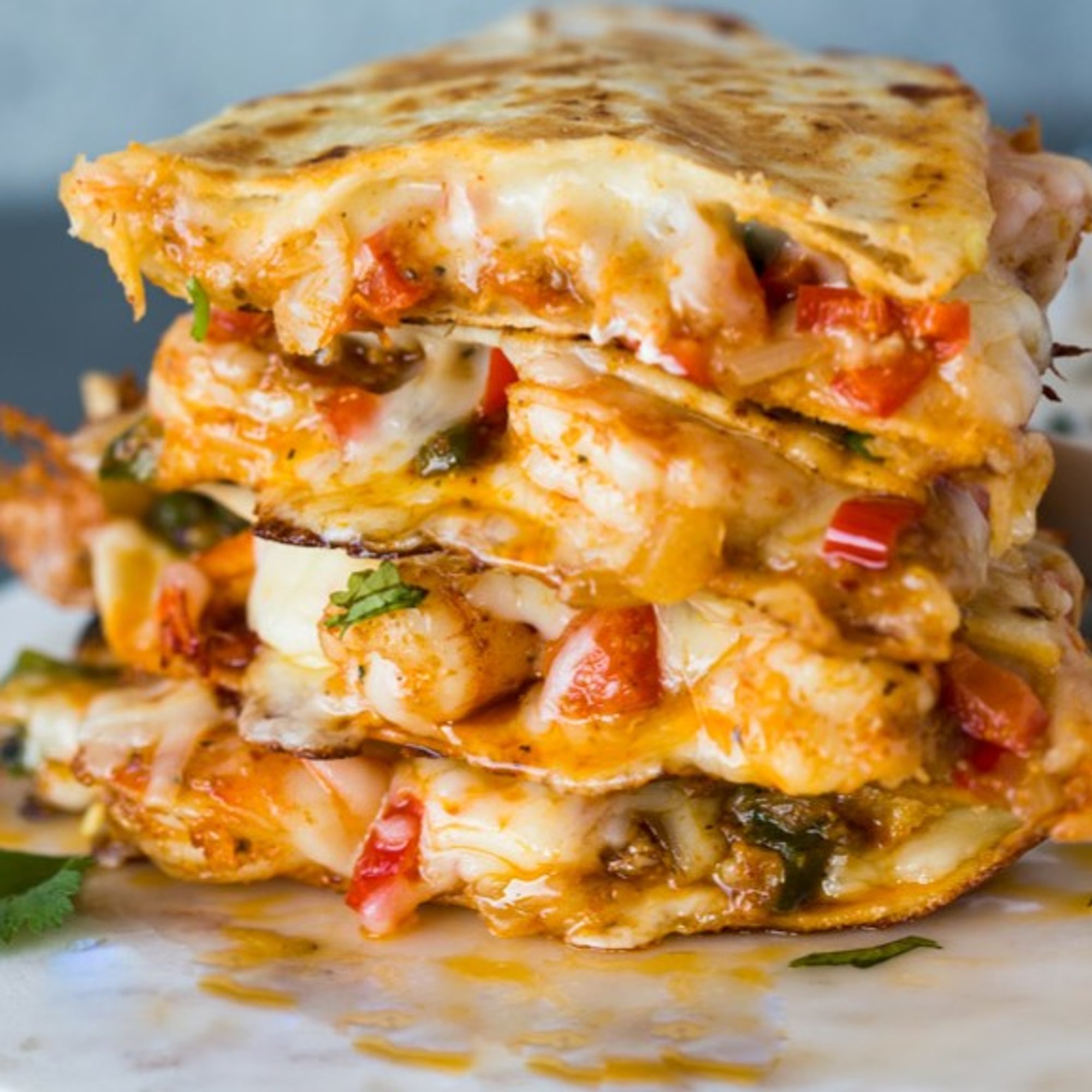 Classic Quesadilla