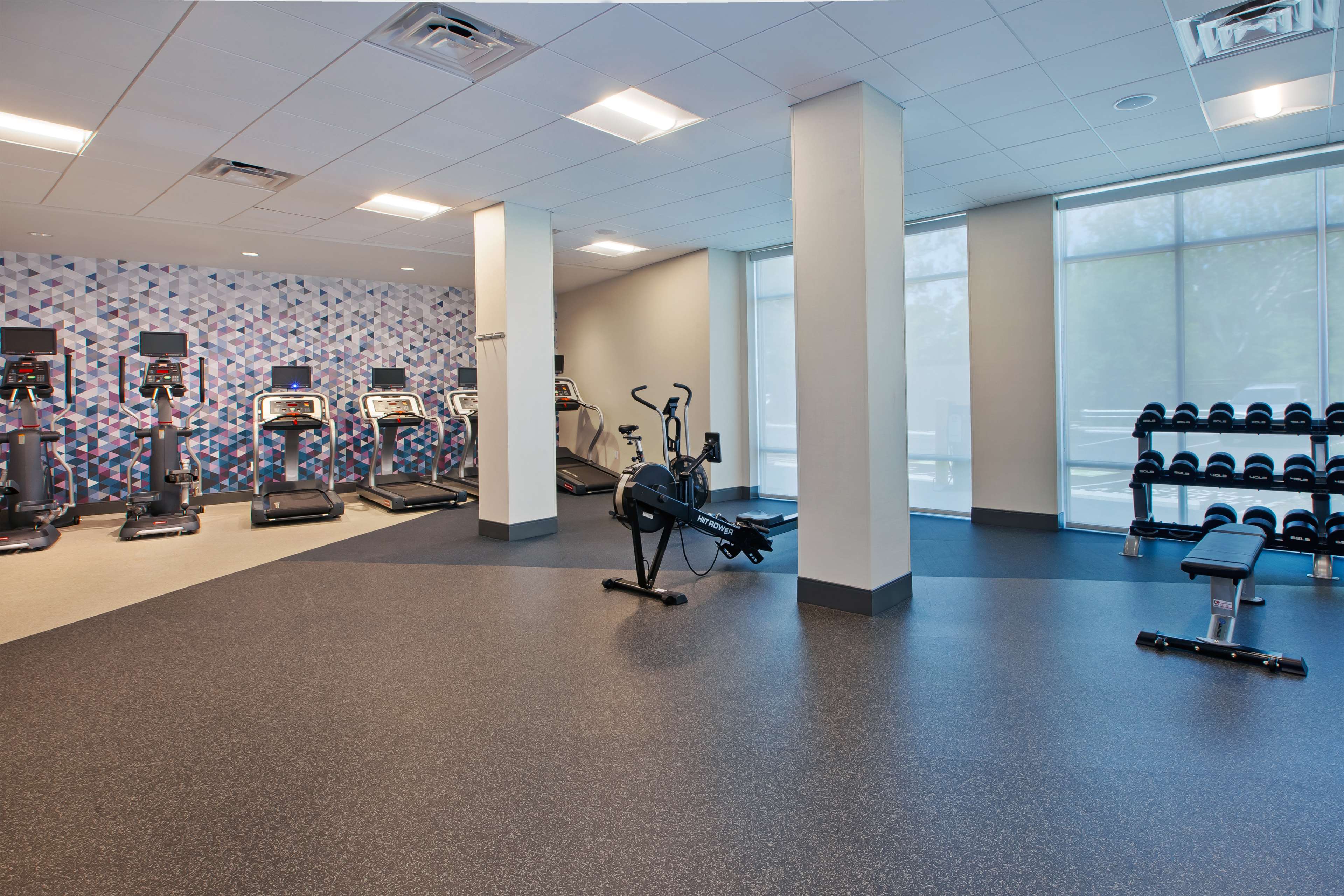 Health club  fitness center  gym