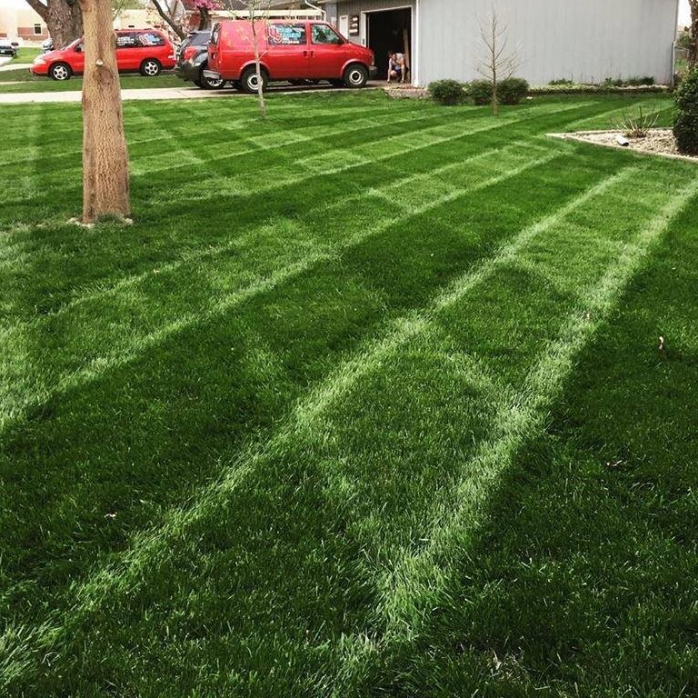 Custom Turf Inc. Image
