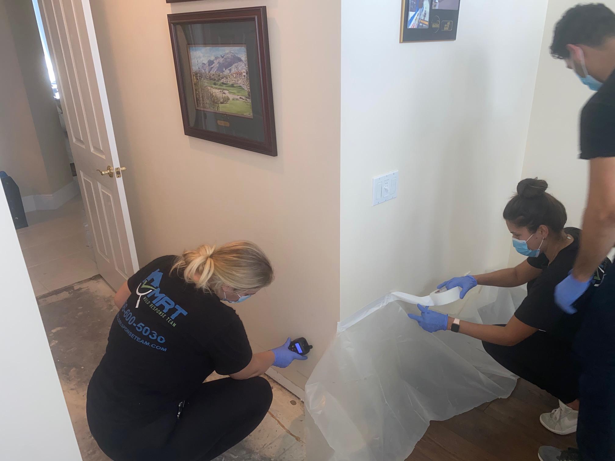 Mold Response Team Image