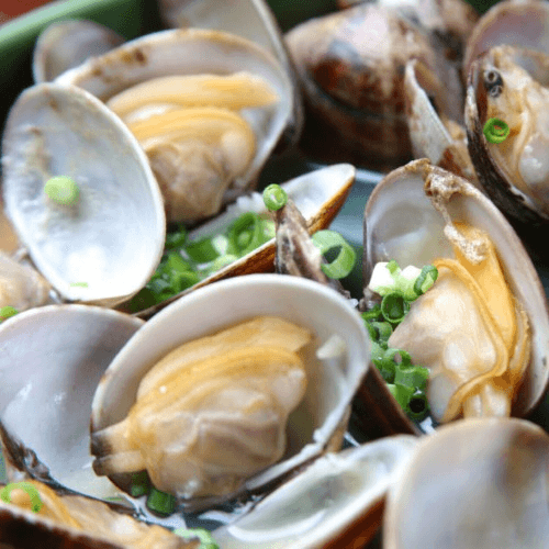Clam / Nghêu