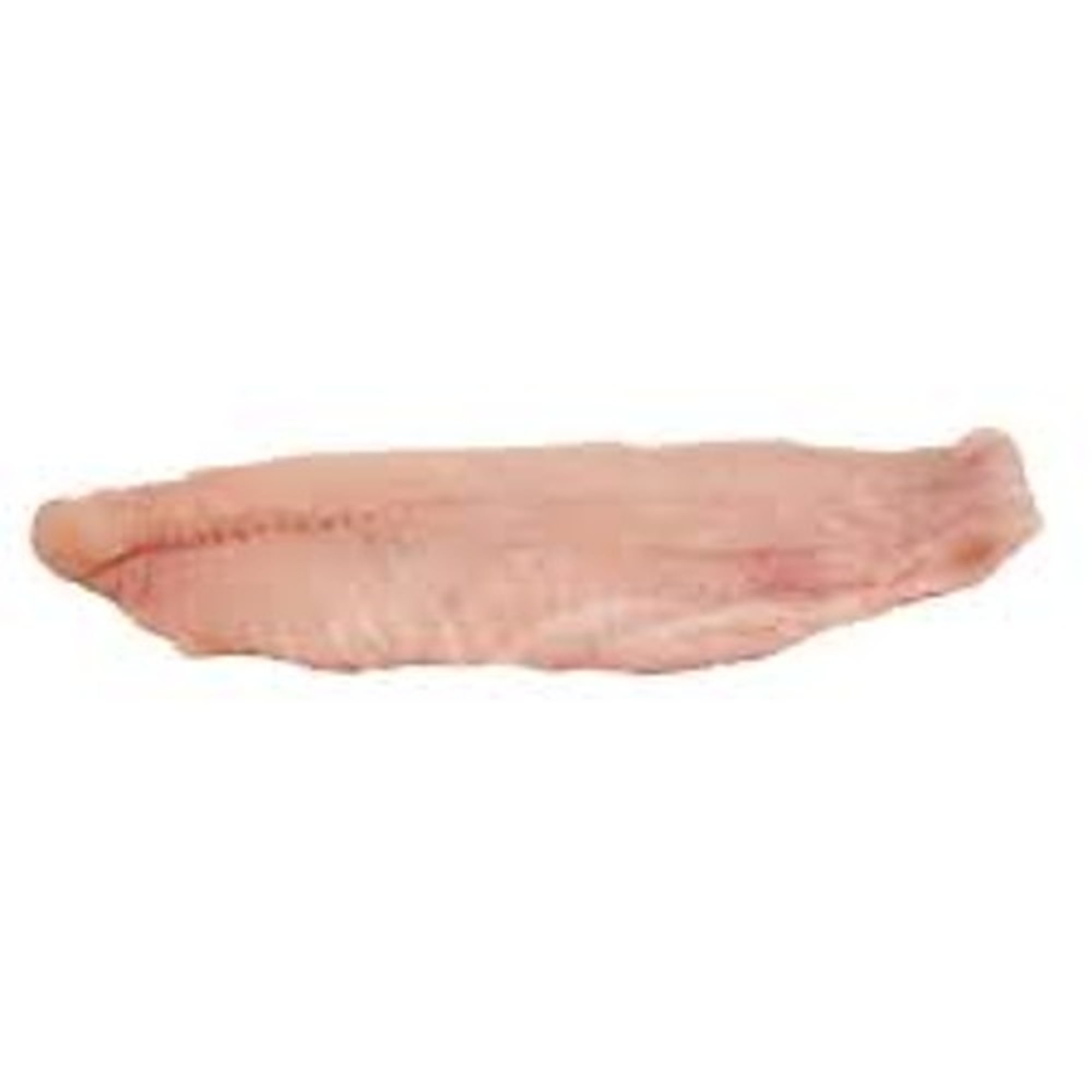 Catfish