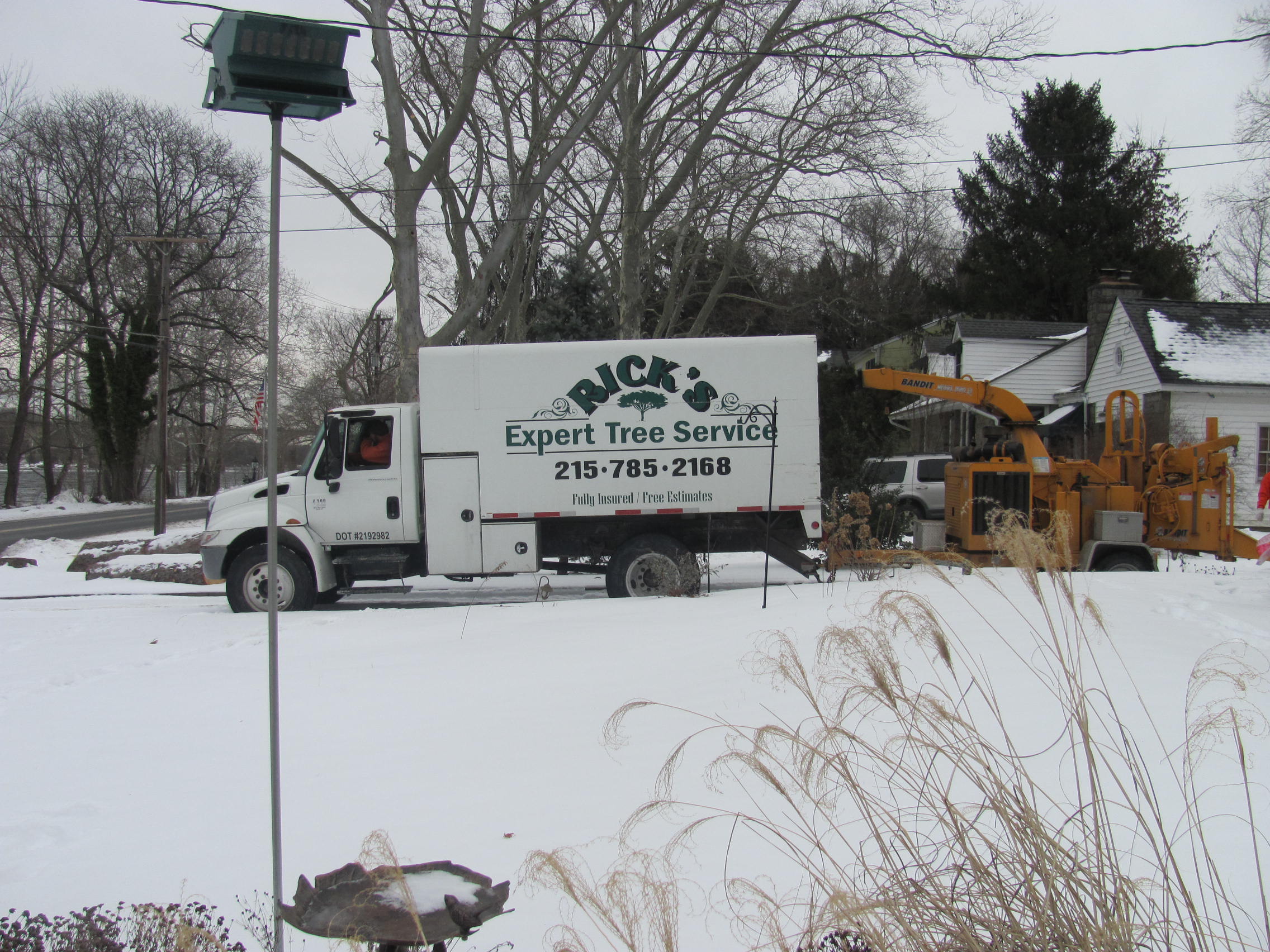 Rick's Expert Tree Service, Inc. Photo