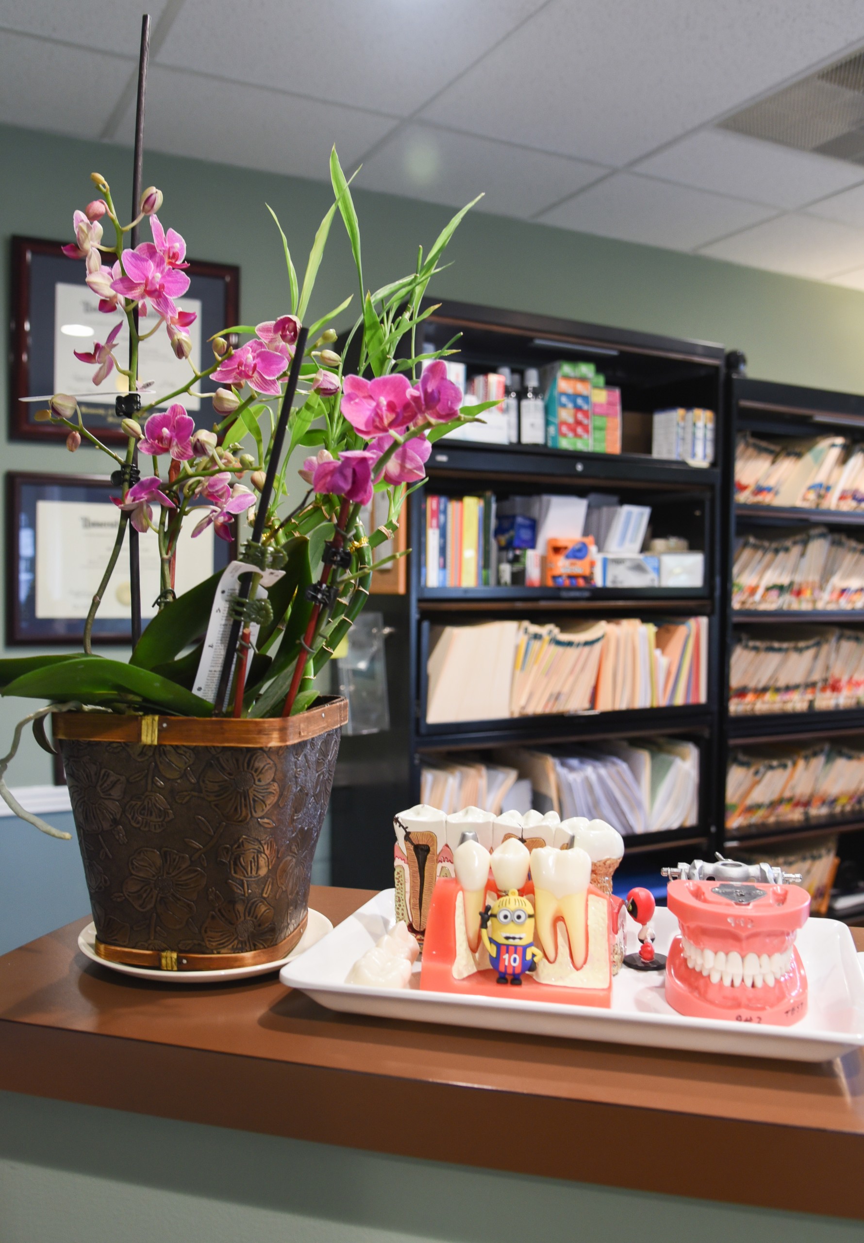 Matthew Lau, DDS FICOI Image