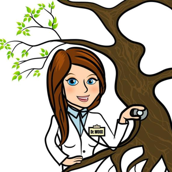 Dr. Wood Arborist &amp; Landsdape Specialist Logo